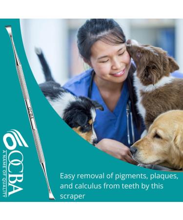 Double Headed Tarter Scraper & Tooth Scaler for Dogs & Cats - Stainless Steel Dental Tool for Pet Teeth Cleaning - Buy Online on GoSupps.com
