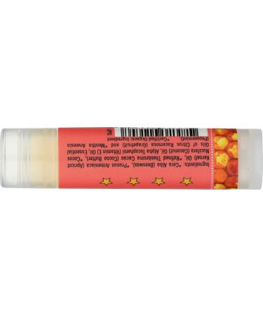 Big Dipper Wax Works Peppermint Grapefruit Beeswax Lip Balm - 0.15 OZ | Natural Moisturizer for Soft Lips - Shop Internationally - Buy Online on GoSupps.com