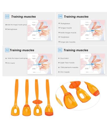 4-Part Lip-Tongue Muscle Trainer for Oral Flexibility & Rehabilitation - Large Orange - Buy Online on GoSupps.com