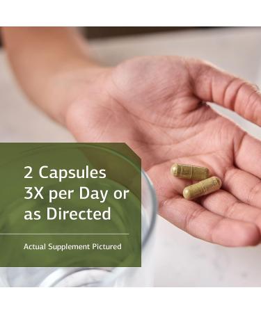 Standard Process SP Green Food - Whole Food Metabolism & Liver Support - 150 Capsules - Buy Online on GoSupps.com