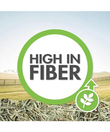 Vitakraft Timothy Hay for Small Animals - Premium Nutrition & Freshness - Buy Online on GoSupps.com
