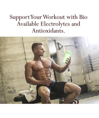 Foothills Naturals Coconut Water Powder Organic - 1 lb (454g) No Added Sugars - Buy Online on GoSupps.com