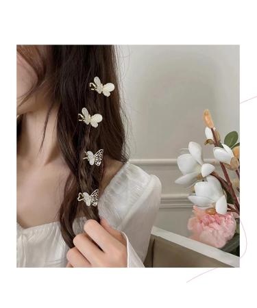 JIEKRIHLO 2 Pcs Butterfly Hair Clips - Small Cute Design for Women and Girls | Perfect Gift for Her - DD001 - Buy Online on GoSupps.com