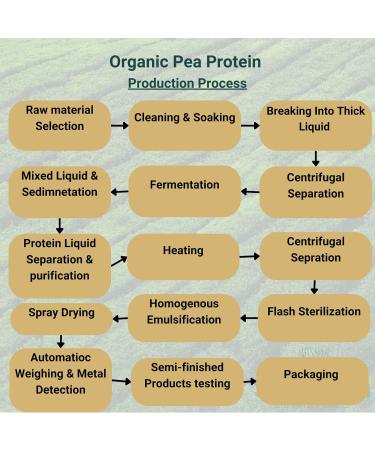  Samskara Pea Protein Powder (83%) | Organic Organic | Fermented | Smooth Neutral 100% Natural | Samskara (3 kg) - Buy Online on GoSupps.com