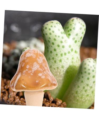 Toddmomy Craft Accessories 6pcs Landscape Patio Tiny Statues Scene Garden Flowerpot Small Miniatures Micro Simulation Lawn - Buy Online on GoSupps.com