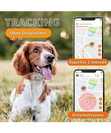 Weeneect XS Mini GPS Tracker for Dogs - Real-Time Tracking Waterproof & Subscription | Smallest Model 2023 - Buy Online on GoSupps.com