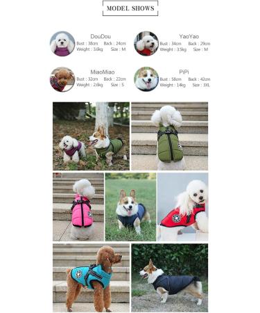 Dog Jacket with Dishes | Warm Sports Vest for Small Dogs & Cats - Turquoise S Aqua - Buy Online on GoSupps.com