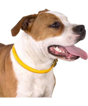 Collardirect Handmade Padded Round Leather Dog Collar - Softly Rolled Adjustable for Small & Large Pets in 7 Colors (35-40 cm) - Buy Online on GoSupps.com