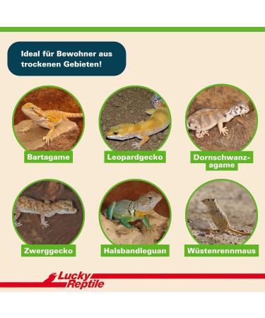 Buy Lucky Reptile DBW-7 Desert Bedding - Snow White 7 Liters for Reptiles | Premium Substrate for Optimal Habitat - Buy Online on GoSupps.com