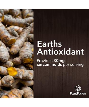 PlantFusion Turmeric and Ginger Drink Mix - Fermented Whole Food Nutrition Herbal Supplement Powder with Curcuminoids - USDA Certified Organic Non-GMO Vegan Gluten-Free 4.76 oz 30 Servings - Buy Online on GoSupps.com