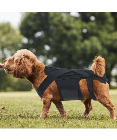 Breathable Back Brace for Dogs - Pets Back Protector Soft Back Bracers Pet Back Bracer for IVDD Back Protector Black Medium