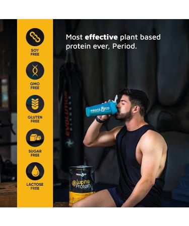 Prote&co Lupine Protein Powder - 24g Vegan Non-GMO Soy & Gluten Free No Sugar Added Chocolate Flavor - 1.63 Lb - Buy Online on GoSupps.com