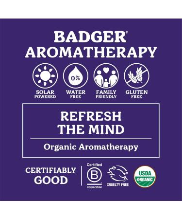 Badger Stress Soother Balm Organic Essential Oil Aromatherapy Calm & Soothe The Mind Easy to Use Portable Stick Effective Self Care .6 oz Stress Soother 0.6 Fl Oz (Pack of 1) - Buy Online on GoSupps.com
