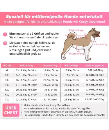 Ranypet One-Divider Dog Pajamas - Surgical Recovery Suit for Large Medium Dogs | Anti-Lick Wound Protection | 2XL Pink - Buy Online on GoSupps.com