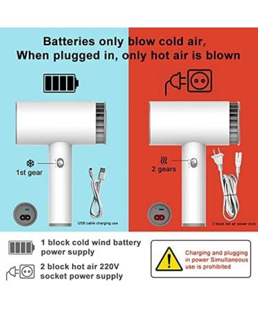 Portable Hair Dryer Rechargeable Cordless Hair Dryer with 2600mAh Lithium Battery USB Rechargeable Cordless Hair Dryer for Art/Home/Outdoor Painting OneColor Pleasant63 - Buy Online on GoSupps.com