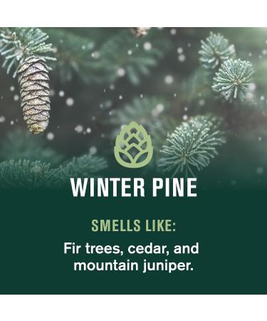 Every Man Jack Hydrating Body Wash - Winter Pine - Deeply Clean with Glycerin + Naturally Derived Ingredients - 13.5 oz (2 Pack) - Buy Online on GoSupps.com