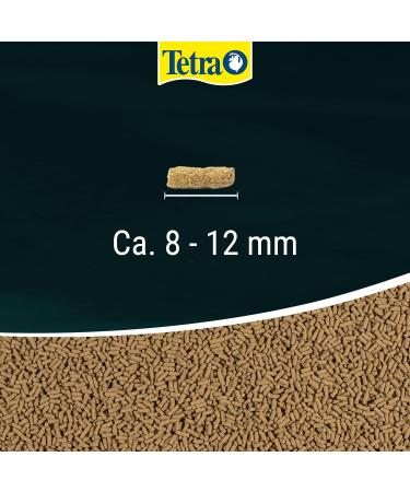 Tetra Pond Wheaterm Sticks - Fiber-Rich Fish Feed for All Pond Fish | Ideal for Cool Water - 10L Bucket - Buy Online on GoSupps.com