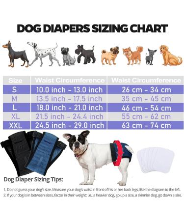 Buy Leaving 2 Pack Washable Mesh Filter Pants for Dogs - Comfortable & Durable - Buy Online on GoSupps.com