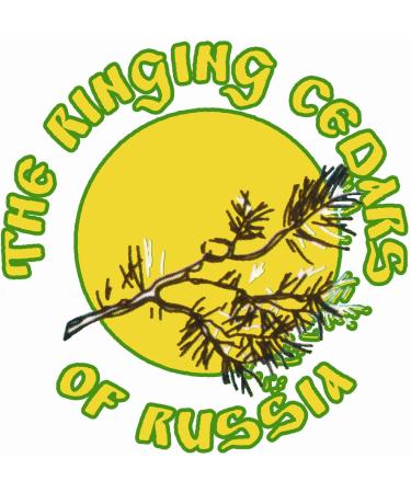 High-Quality Unfiltered Cedar Oil 250ml | First Cold Pressed & Enriched with 30% Siberian Cedar Resin - Buy Online on GoSupps.com