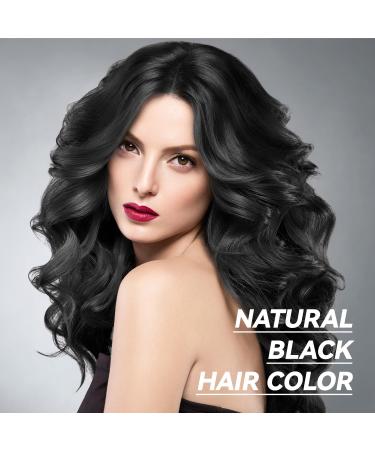 Natural Black Hair Dye Shampoo - 3-in-1 Herbal Color Solution for Men & Women | Ammonia-Free Lasts 30 Days - 16.90 oz - Buy Online on GoSupps.com