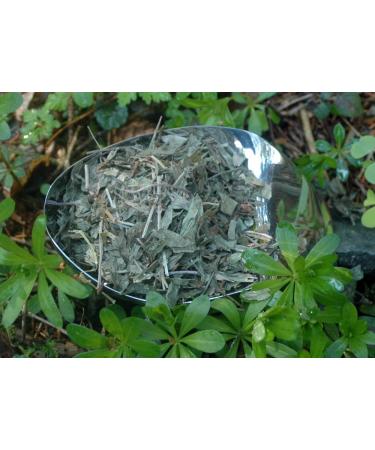 Naturix24 Naturix24 Forest Championship Cup 250 g Bag