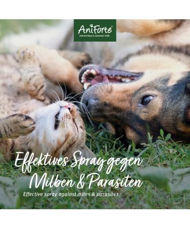 AniForte Mite-STOP Spray 100ml - Rapid Insect & Mite Repellent for Dogs, Cats & Horses - Buy Online on GoSupps.com