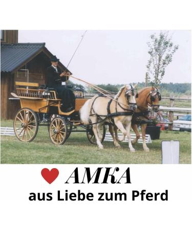 AMKA Driving Bridle for Warmbloods - Harness Head Frame with Blinkers & Chain Browband | International Shipping Available - Buy Online on GoSupps.com