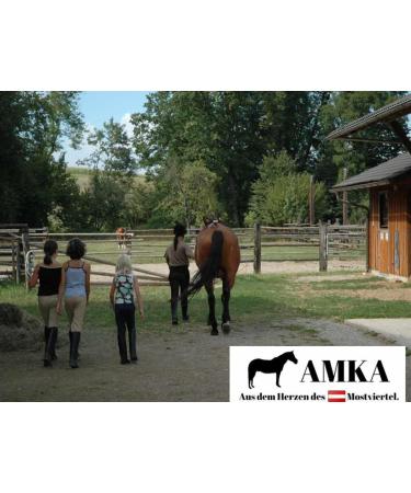 AMKA Stainless Steel Safety Stirrups with Joint - Flexible 10cm 12cm & 13cm Tread for Equestrian Safety | International Shipping Available - Buy Online on GoSupps.com