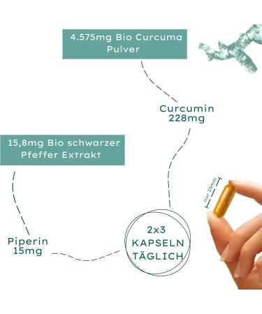 Buy Nature Basics Bio Curcuma Capsules - Organic Turmeric with Black Pepper | 4575mg | Vegan & Sustainable | Certified & Lab Tested - Buy Online on GoSupps.com