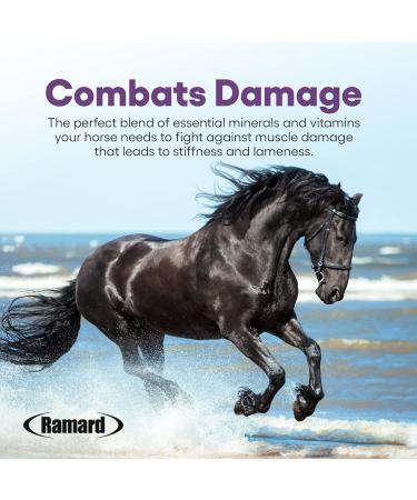 Ramard Total Lactic Care Muscle Function Support Supplement 25 Grams Single Serving - Buy Online on GoSupps.com