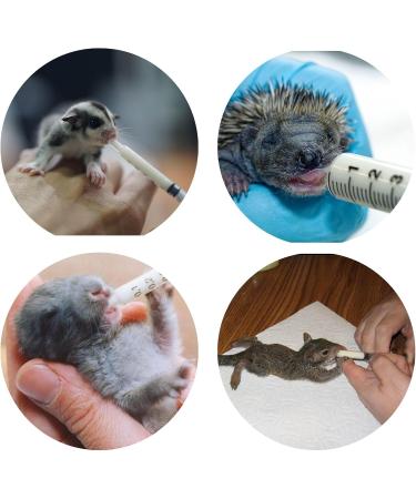 Exotic Nutrition Baby Squirrel Nursing Set - Milk Replacer & Feeding Syringes for International Shipping - Buy Online on GoSupps.com