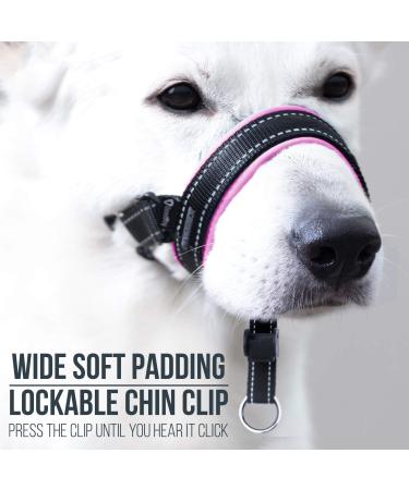 Goodboy Dog Halter with Seat Belt - Padded Leash No Pull Harness for Small Medium & Large Dogs - Size 3 (Pink) - Durable Nylon - Shop Now! - Buy Online on GoSupps.com