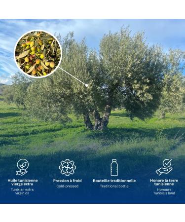  ZA TE Extra Virgin Olive Oil ZA TE 3L - First Cold Press Tunisian Origin Hand Harvested Rich in Polyphenols Balanced Fruity Flavor 100% Natural (Pack of 3) - Buy Online on GoSupps.com