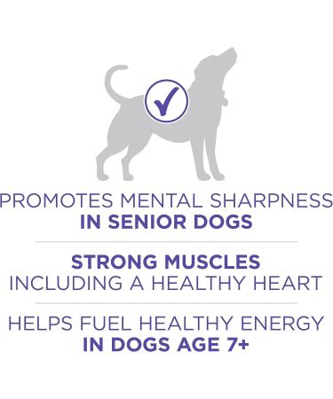 Purina ONE +Plus Senior Dry Dog Food Healthy Aging 7+ with Chicken - 11.7 kg Bag 11.7 kg (Pack of 1) - Buy Online on GoSupps.com