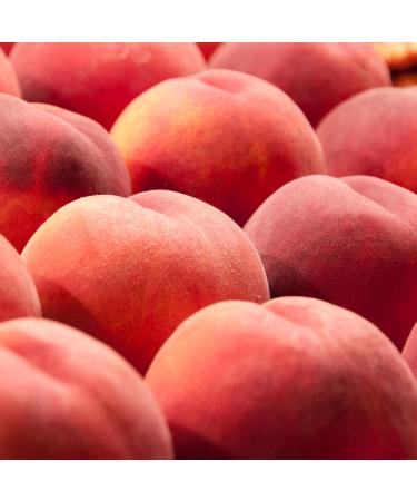 Mathieu Teisseire Peach Syrup For drinks lemonades soft drinks teas cocktails with or without alcohol added to - Buy Online on GoSupps.com