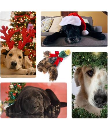 AYEUPZ Squeaky Duck Plush Toy - Interactive Chewing Dental Care Toy for Dogs | International Shipping - Buy Online on GoSupps.com