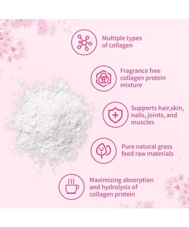 Multi Collagen Protein Powder Non GMO Hydrolyzed Collagen Powder 1lb - Type I II III V X with with Biotin Hyaluronic Acid Vitamin C Easy Dissolve for Women & Men (1 lb) - Buy Online on GoSupps.com