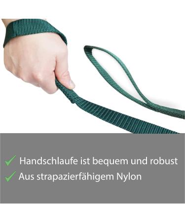 Guide for Horses - Safe Leading with Iron Chain & Nylon Handle | 2.10m Length | Ideal for Stallions Dogs Ponies & Donkeys - Dark Green - Buy Online on GoSupps.com