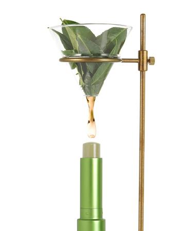 Shop Tea Balm Lip Matcha Tea 4g - Hydrating Natural Lip Balm for Smooth Lips - International Shipping Available - Buy Online on GoSupps.com