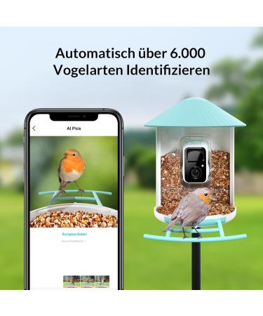 Netvue Bird Feed Donor & Camera - AI-Powered Bird Feeder with Species Detection | Bird House & Feed Stations for Wild Birds - Buy Online on GoSupps.com