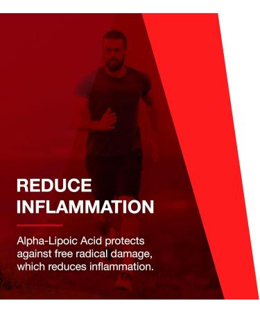 Protocol Alpha-Lipoic Acid Supplement 250mg Antioxidants for Blood Flow & Heart Health | Grape Seed Extract & Bioperine | Dairy Free & Kosher | 90 Veg Capsules - Buy Online on GoSupps.com
