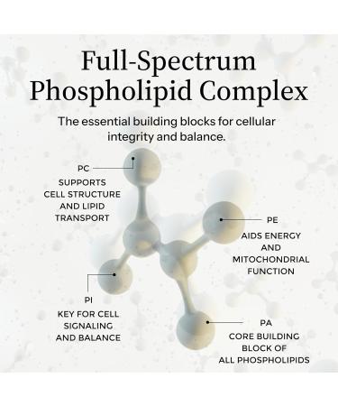 Precision Nutrients Essential Phospholipid Complex Sunflower-Based Brain Supplement for Memory Focus Cellular Detox and Repair Cognitive Support with PC PE PI PS PA Non-GMO - 16fl oz - Buy Online on GoSupps.com