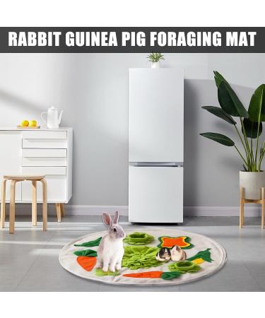 Snuffing Carpet for Rabbits & Guinea Pigs | Sniffing Mats Intelligence Toys & Food Search Training - Buy Online on GoSupps.com