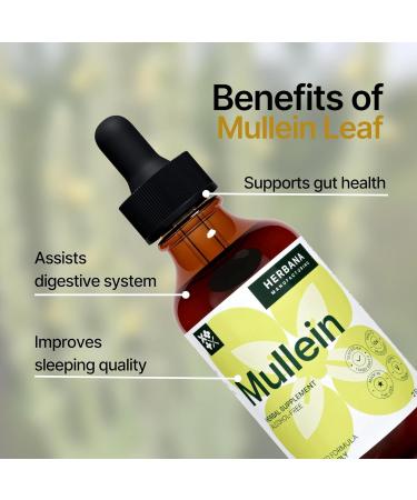Mullein Leaf Liquid Extract - Lung Cleanse & Immune Support Tincture - 45-Day Supply, 2 fl oz - Buy Online on GoSupps.com