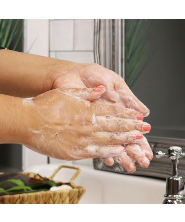 SBC Skincare Vanilla & Wild Chestnut Hand Wash - 500ml | Indulgent Vanilla Hand Wash For All The Family | Soothing And Moisturising Hand Soap | Vegan Friendly - Buy Online on GoSupps.com