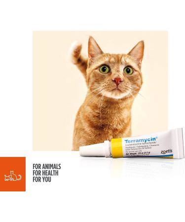 Zoetis Terramycin Antibiotic Ophthalmic Ointment 1/8 oz - Animal Health Solution - Buy Online on GoSupps.com