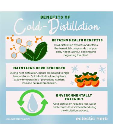 Eclectic Institute Kids St. John's Wort - Black Cherry Flavor 1 fl oz | Herbal Supplement for Children - Buy Online on GoSupps.com