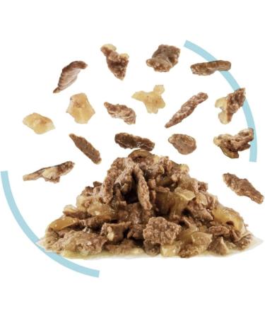 Royal Canin Sensory Feel In Jelly Wet Cat Food 12 x 85g Meat 12 count (Pack of 1) - Buy Online on GoSupps.com