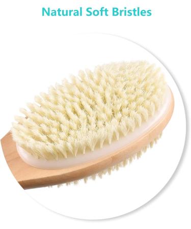 Long Wooden Handle Back Brush - Dual Bristles Body Shower Brush for Exfoliation & Skin Peeling | Wet/Dry Use - Buy Online on GoSupps.com
