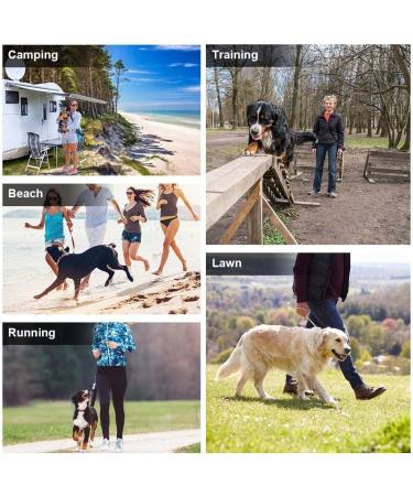 Buy Hofleine 3m/5m Dog Leash - Shock-Damping Cable Leash for Medium & Large Dogs | Ideal for Camping Garden Running & Park - Free Blue Color - Buy Online on GoSupps.com